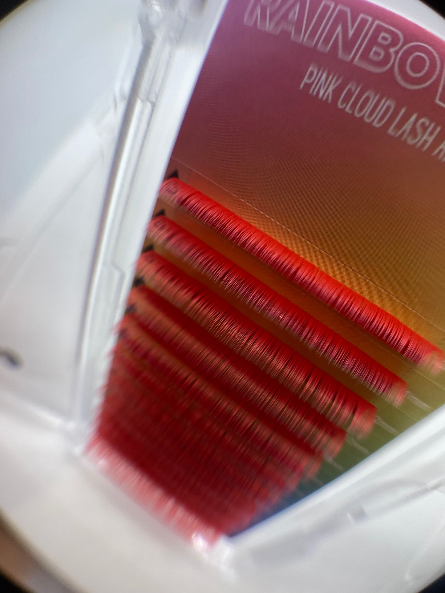 Rainbow Trays - Color Lashes