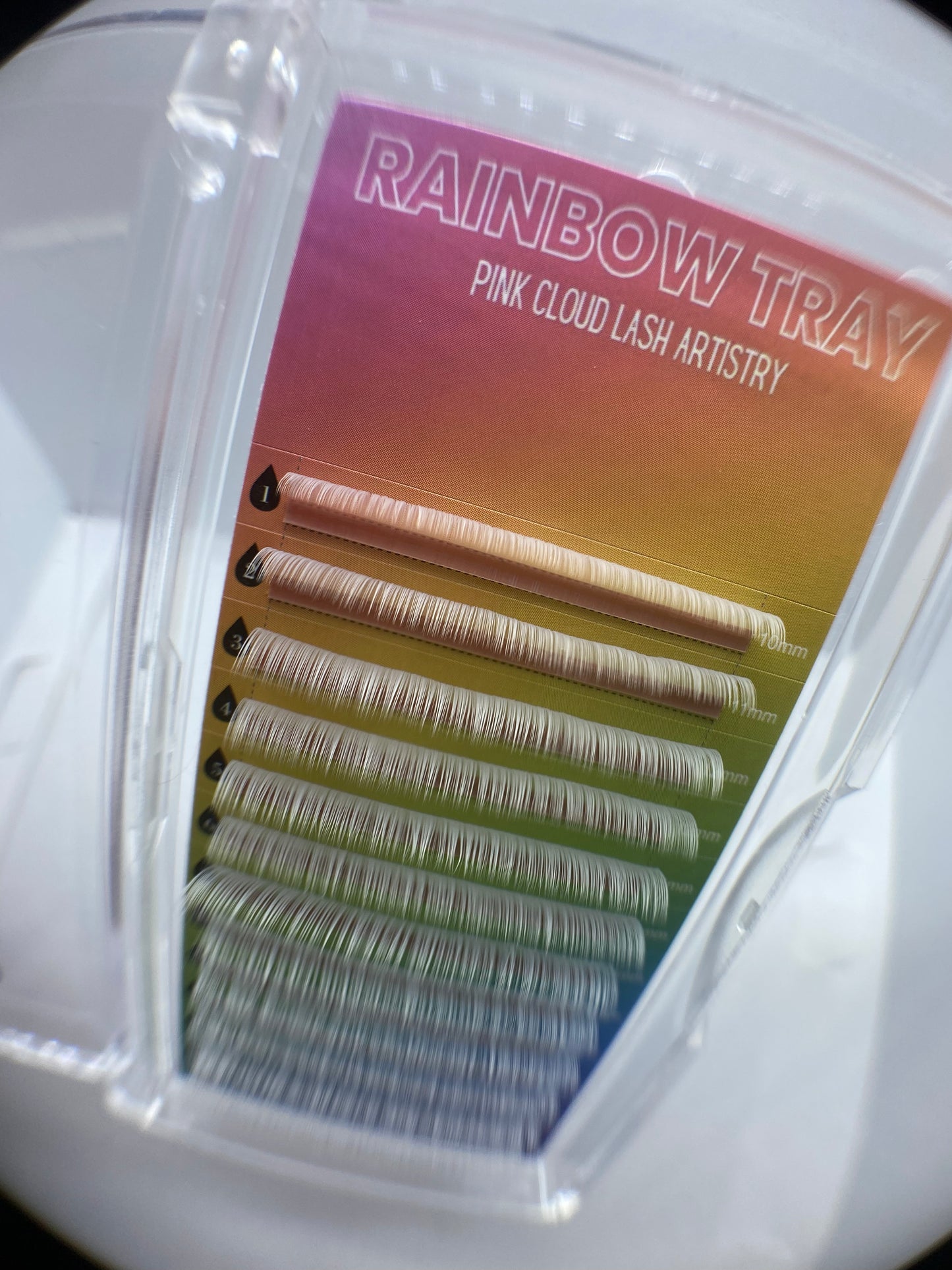 Rainbow Trays - Color Lashes